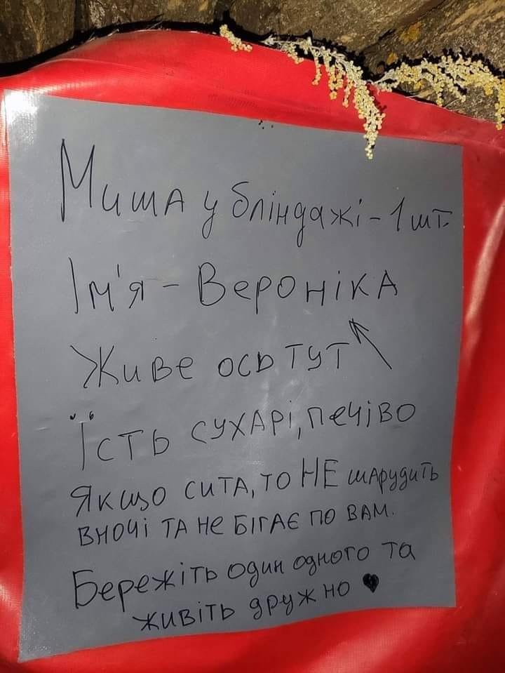 skiba45's tweet photo. Наші все ж таки неймовірні.
Хлопців перекидають на іншу ділянку, то для тих, хто прийде після них до бліндажу - інструкція щодо миші ) https://t.co/Vi58xqCqvG
