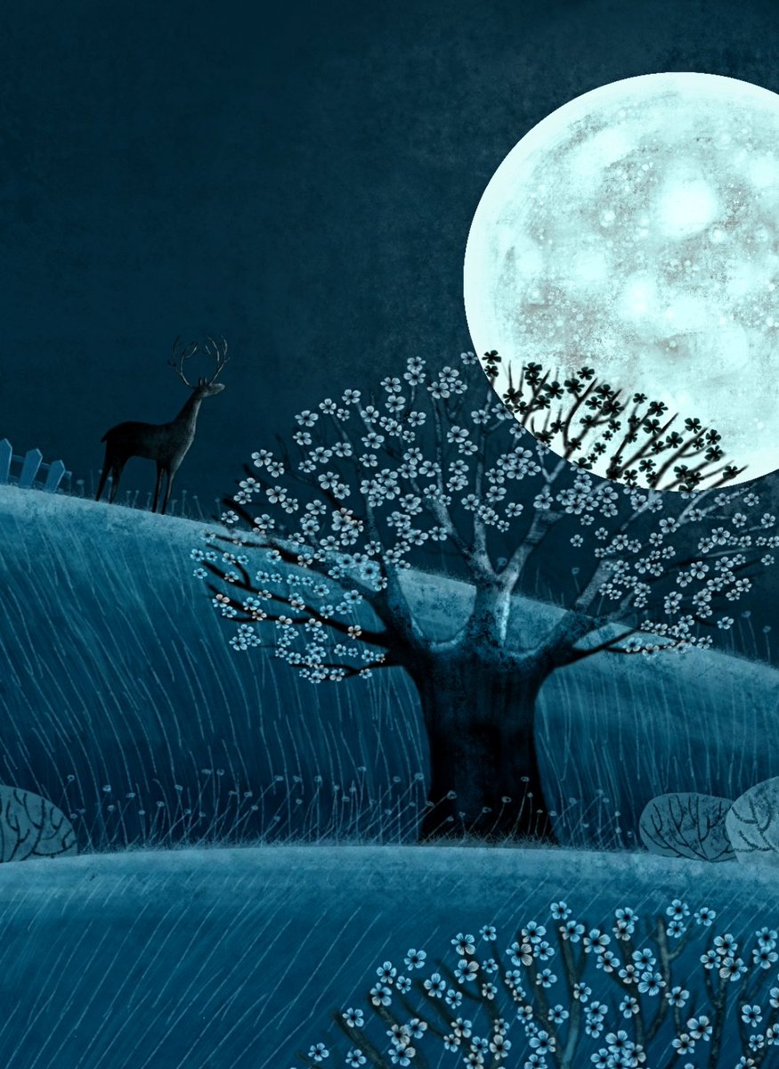 I finally accepted my beautiful sorrows. I made friends with those little monsters that had been always inside me. I feared them for a long time.

But suddenly they were not scary anymore. They were just lovable sad monsters, who were born in my loneliest moments.