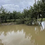 青森県産りんごを食べよう!大雨の影響で甚大な被害が出ているようです…