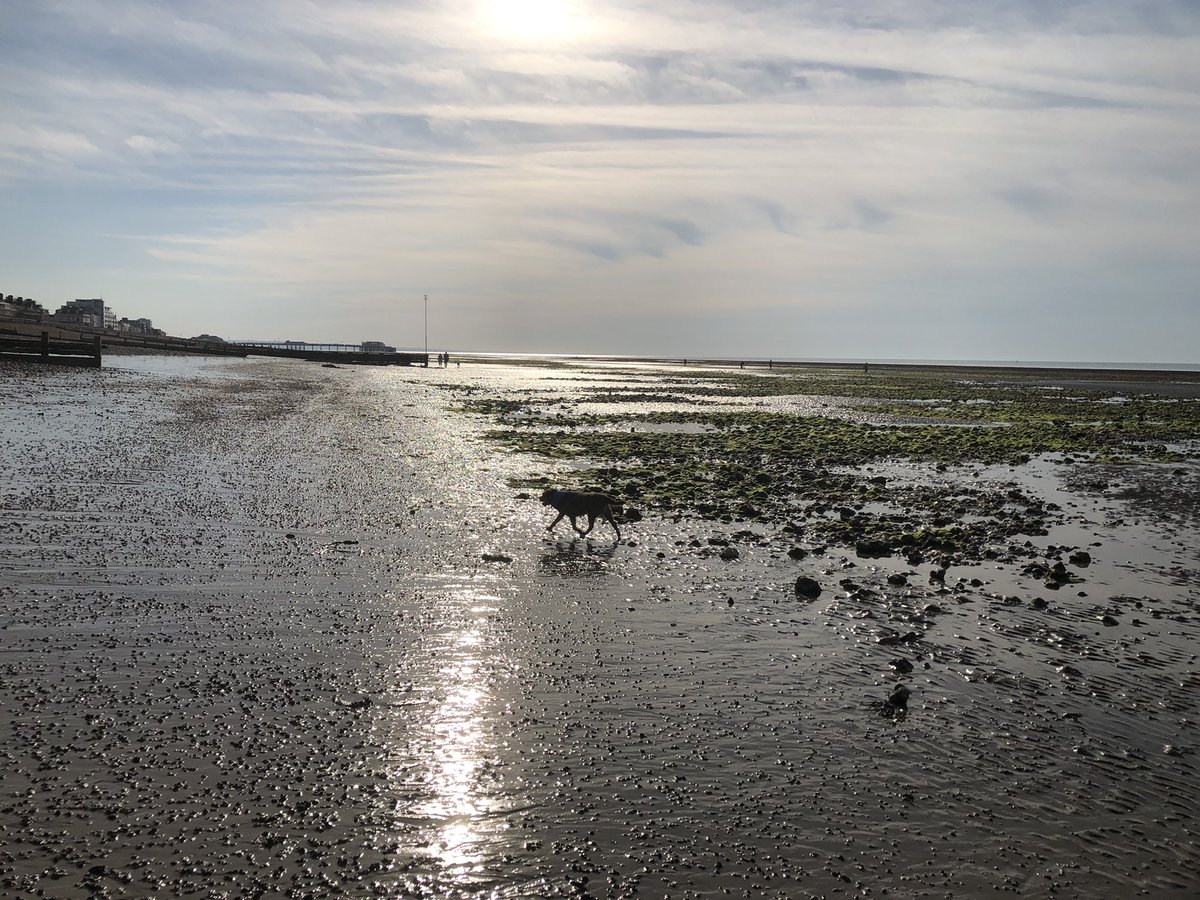 stevesearby1's tweet photo. Loving the early morning bimble along the beach. Only 5km but every little helps. Warm at 0729 at 24°
@AlisonHofman1 @sarahwteaches https://t.co/RcFqCWigmG