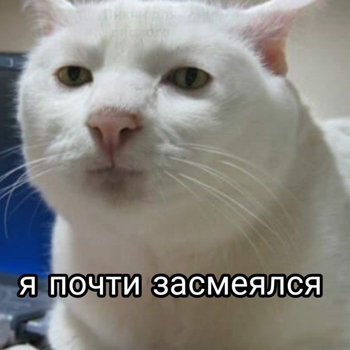 #всерадиигры #allforthegame #aftg
Нил: *говорит какую-то смешную шутку*
Эндрю с невозмутимым ебалом: