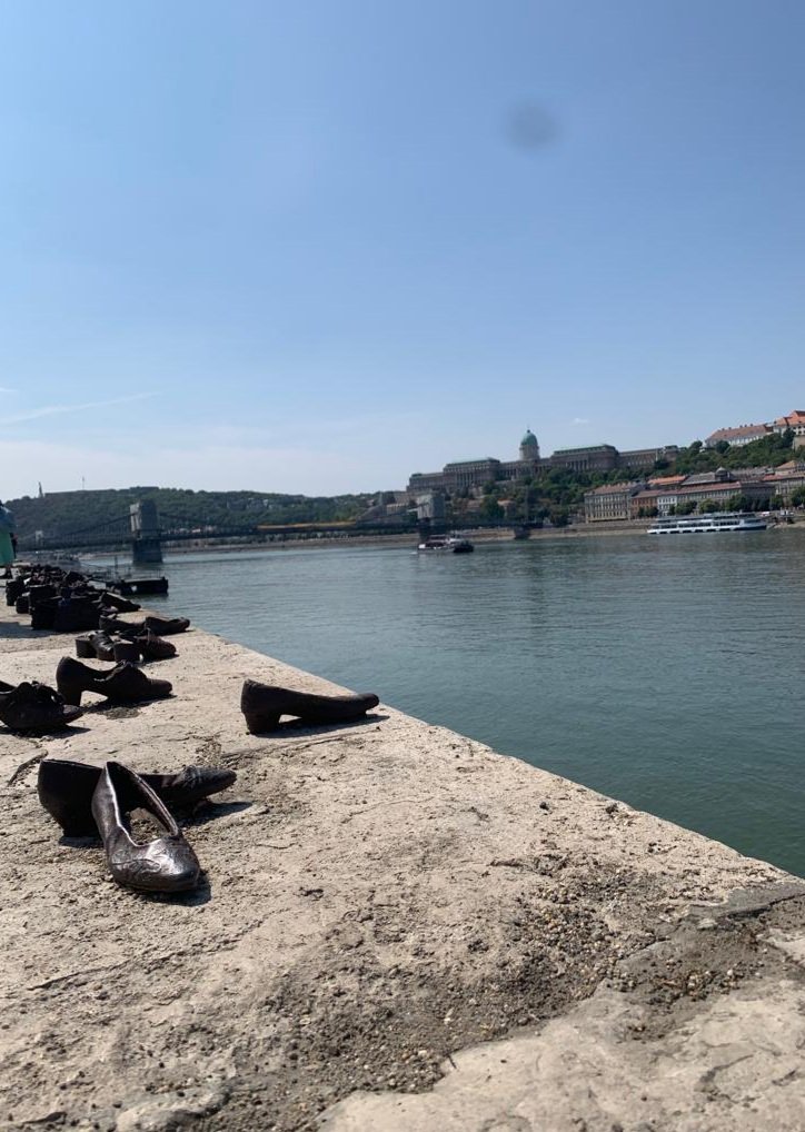 JesusFerrer7's tweet photo. No olvidemos la historia para evitar el riesgo de que se repita #Budapest https://t.co/V9I3PegDTq