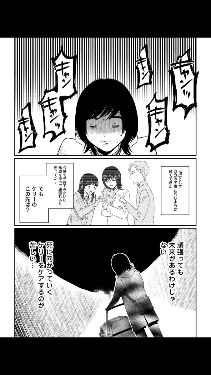 20歳まで生きたトイプー、ケリーさん編です。 
