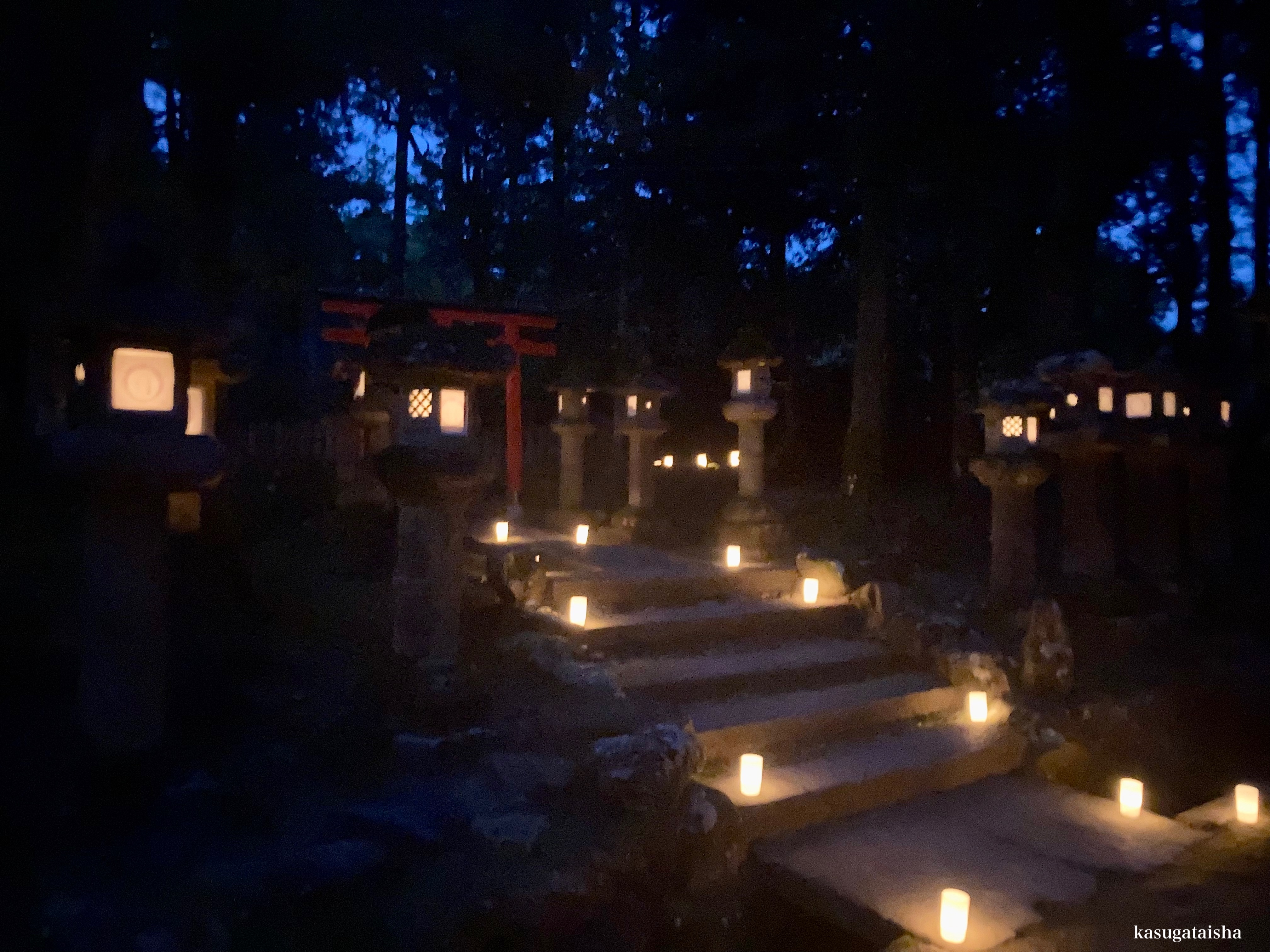 ならmst40マスター40 移動編 40mst40 Twitter