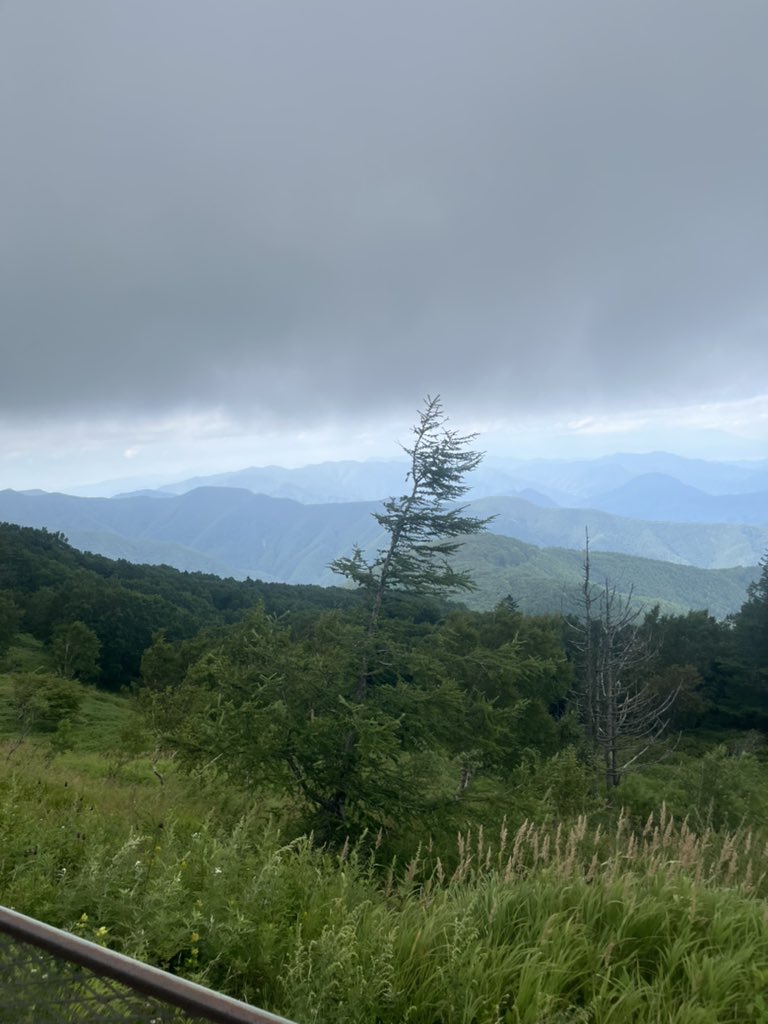 美ヶ原高原美術館 Twitter Search Twitter