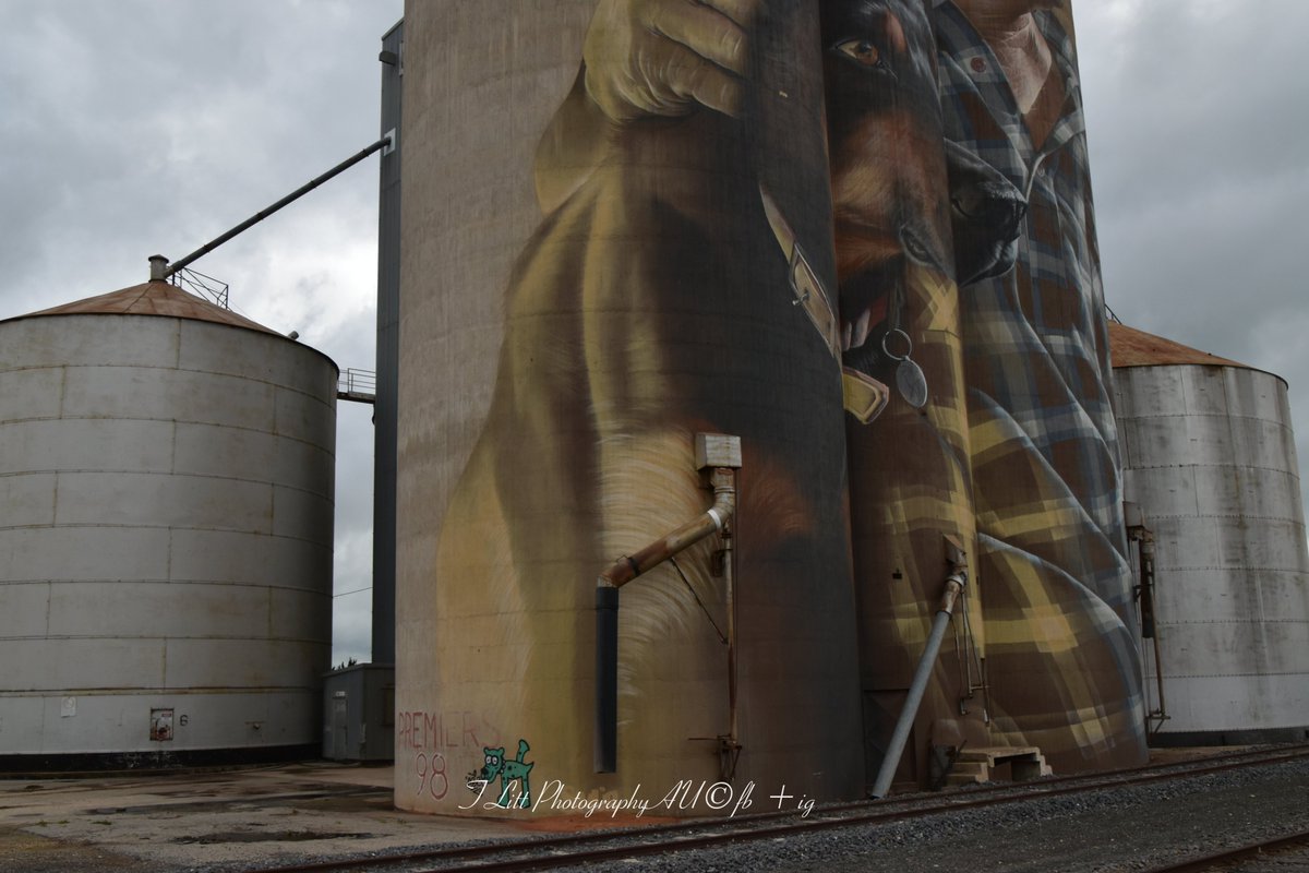 TonyL_Tchum's tweet photo. A little disappointed that someone has put graffiti on the Nullawil Silo art. Premiers logo existed before the mural.
#vandalism #nullawil #nullawilsiloart #smug0ne https://t.co/XMeAxQ2mOz