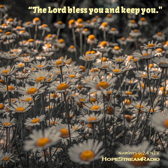HopeStreamRadio's tweet photo. #dailyverse #versefortoday #hopestreamradio #Numbers6v24 #love #TheLord #bless #blessings #protection https://t.co/ZQtTfIgptH