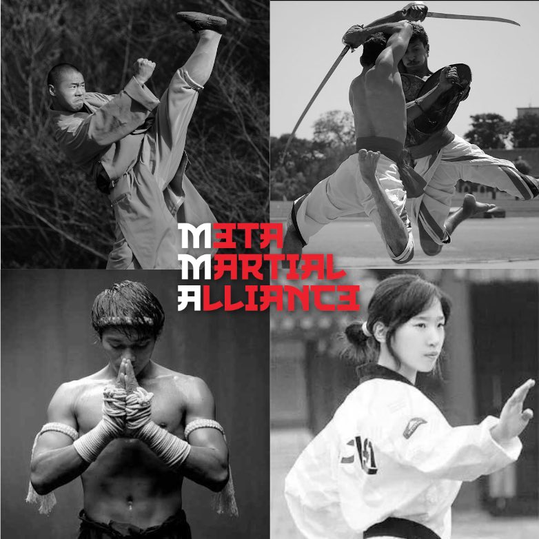 MetaMartialA's tweet image. 