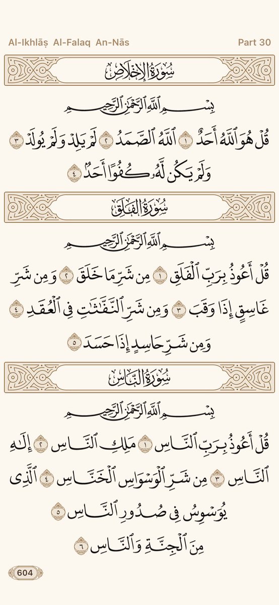 مشعل 👑 tweet media