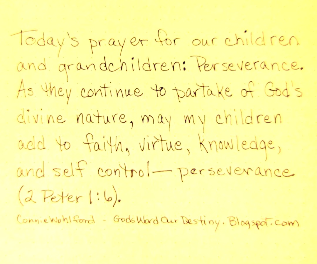 wohlford_connie's tweet photo. Today  ...

#perseverance #add #faith #virtue #virtueandknowledge #knowledge self-control #divine #divinenature #prayforchildren #GodsWordOurDestiny https://t.co/exXzjjnuoM #continue #partaker https://t.co/xEIlRvNdjt