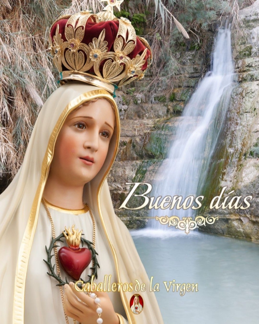 ¡Buenos días!
Oh Señora mía y Madre mía, derrama sobre todos tus hijos e hijas torrentes de gracias y bendiciones.