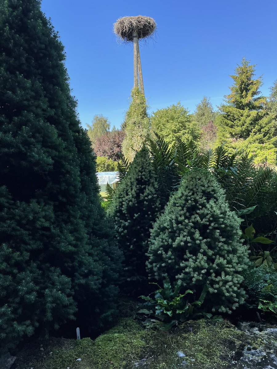 Virossa puutarhamatkalla, löytyy kaikkea uutta ja ihmeellistä. Mutta hämäläinen odottaa vielä ilmaston lämpenemistä 😀