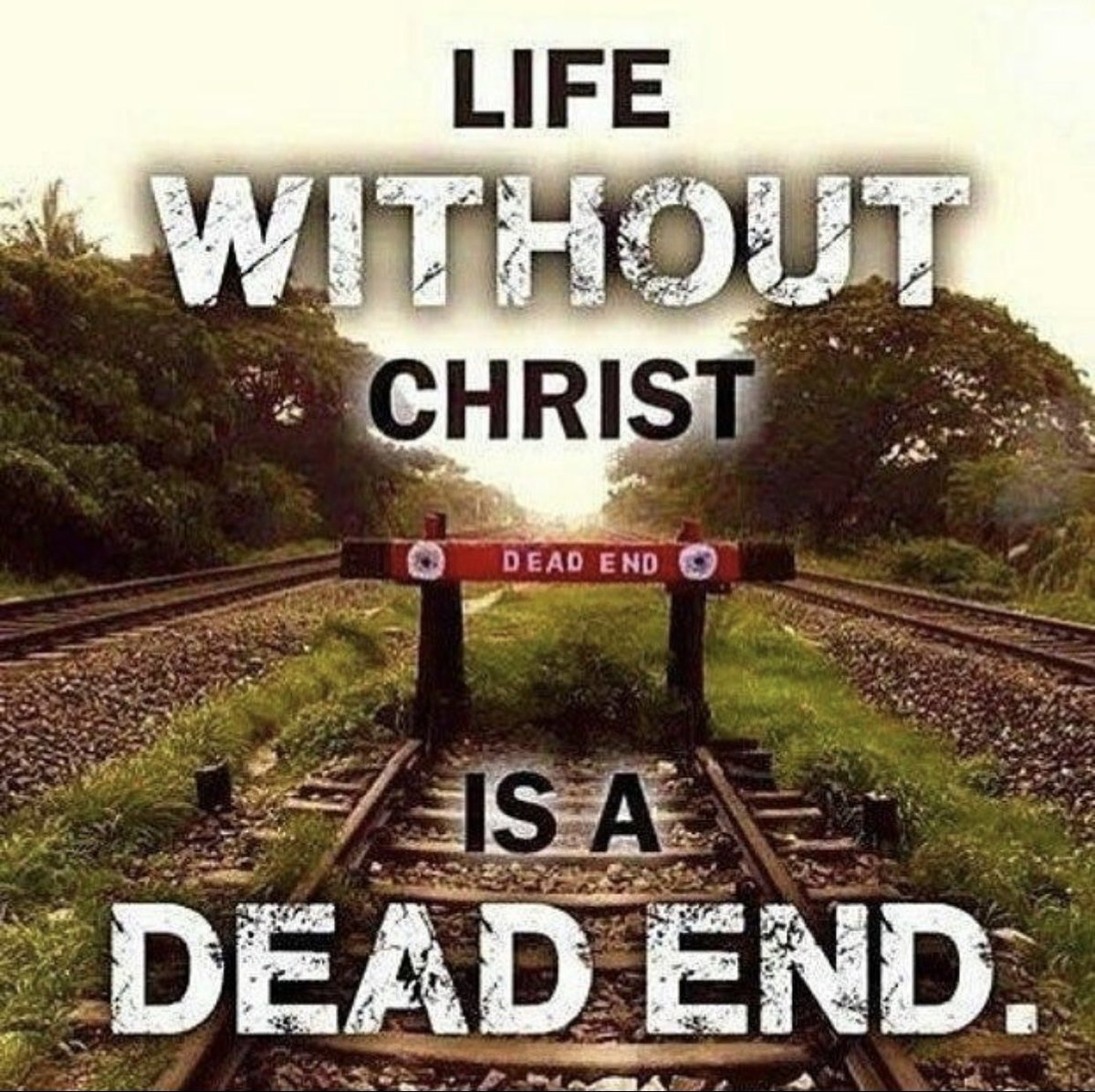 Have a Blessed Sunday everyone ❤️