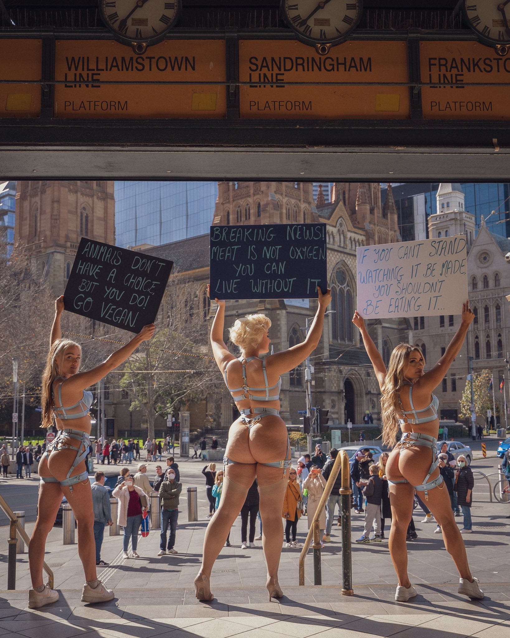 TW Pornstars - 4 pic. Stefania Ferrario. Twitter. lingerie protest part 5  because you fuckers wont stop eating. 11:09 AM - 14 Aug 2022