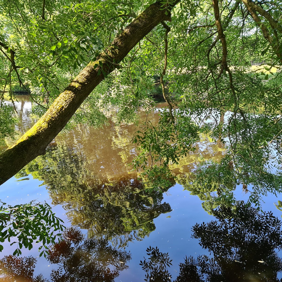 This afternoon will be spent in the same way as yesterday afternoon....sat in the river keeping cool.