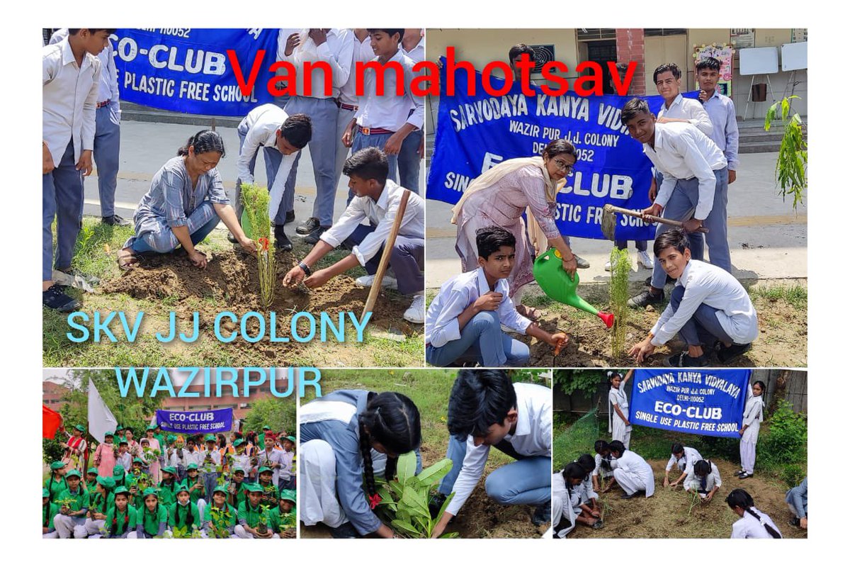 Seema43794923's tweet photo. SKV JJColony Wazirpur celebrates Van Mahotsav #plants #PlantATree  #CleanAir #pollutionfree Lets take a pledge to plant more trees and say no to single use plastic #Dir_Education #CMO https://t.co/F2cJfOMGMA