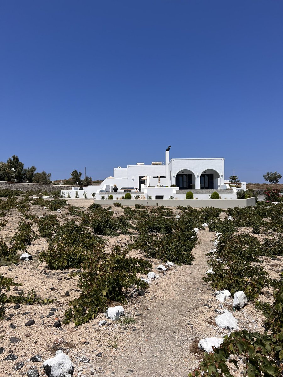 Lenkster's tweet photo. When on Santorini, why not stay in a vineyard? #santorini https://t.co/HyDJGMJauT