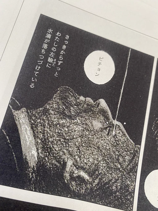 『フロイトの燃える少年の夢』ゲラ。悪夢のようでしょう。 