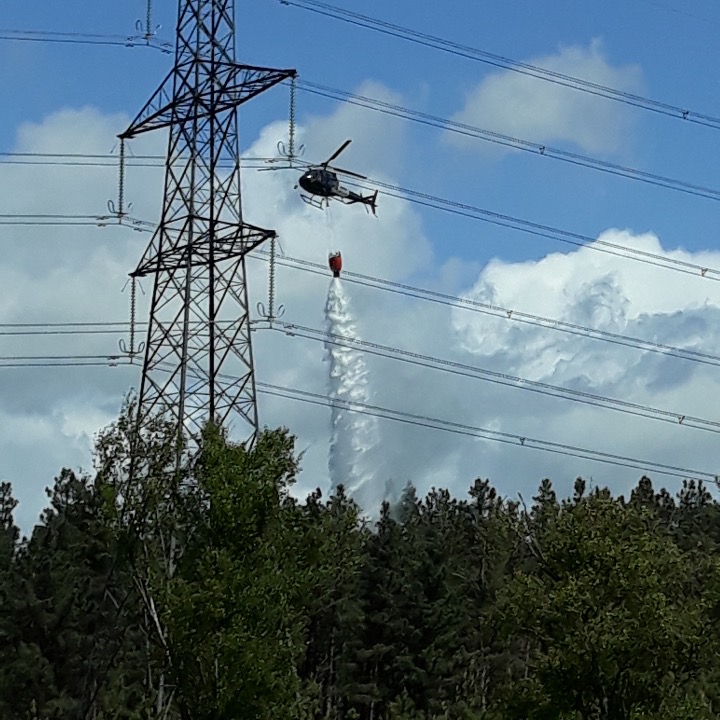 ForestryEngland's tweet photo. We can’t wait to wave goodbye to the heatwave 🥵 👋 

Our teams on the ground are working non-stop to prevent wildfires and look after visitors. But they can only do so much. Help us out! 

Do not light fires or BBQs and keep safety a priority. https://t.co/DOBa6G6P7p