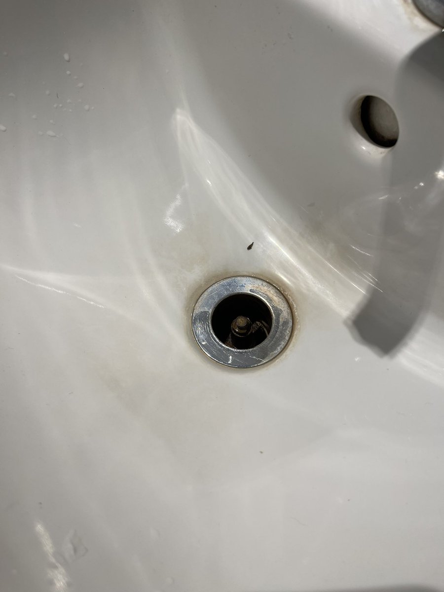 andrewd12's tweet image. Toilets need a good clean @Pret