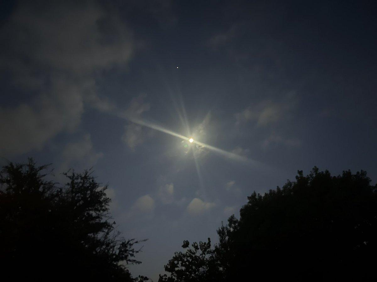 Chikage Windler WX tweet media