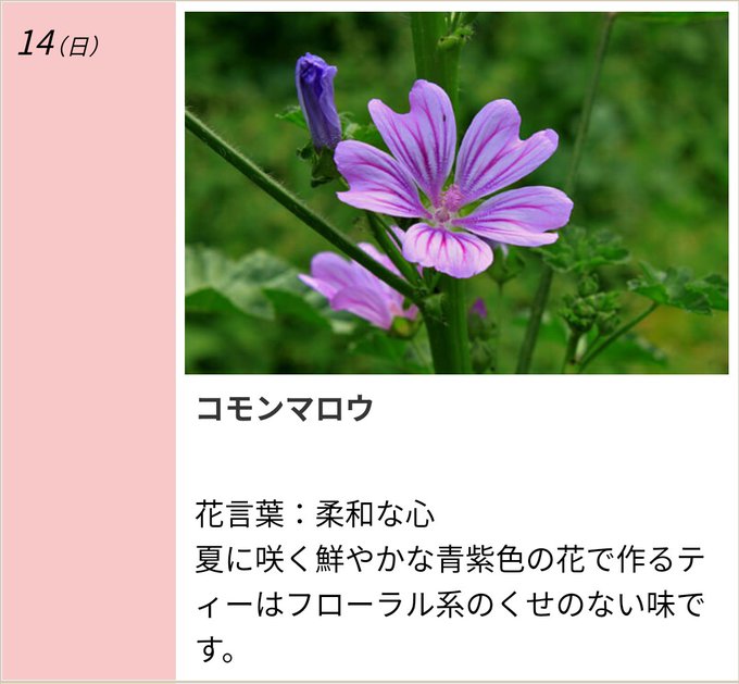 柔和のtwitterイラスト検索結果