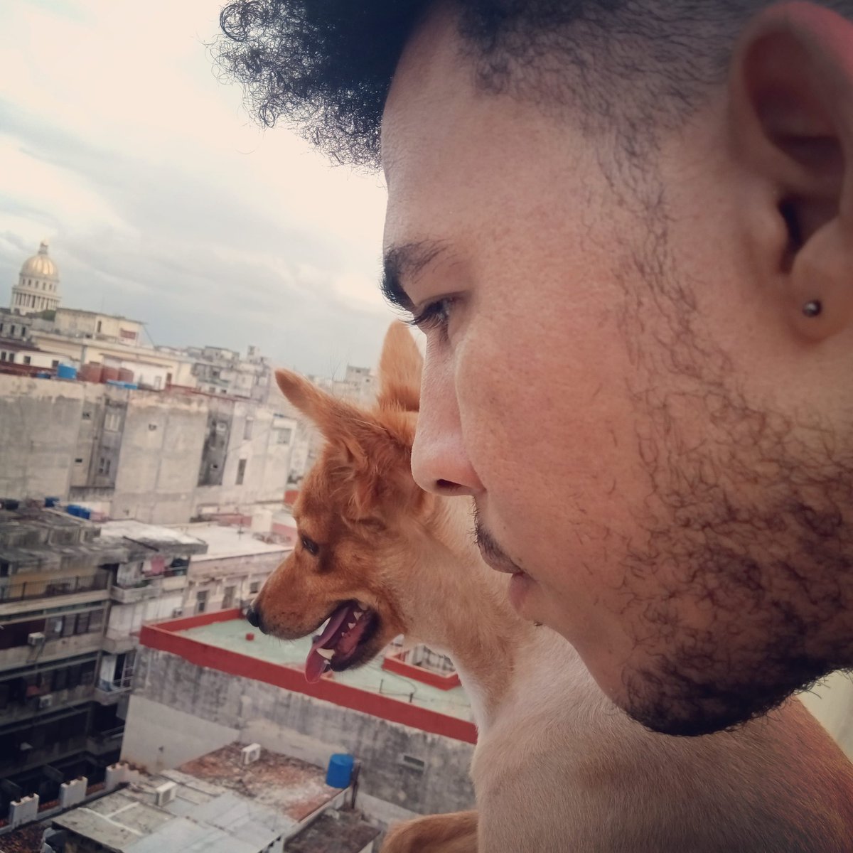 MrCasales's tweet photo. What are u looking for ๐?!?!
#perro #perrofeliz #happydog #doglooking #dogfromthetop #sightseeing #dogsightseeing #havanasightseeing https://t.co/uSKveGJTjy
