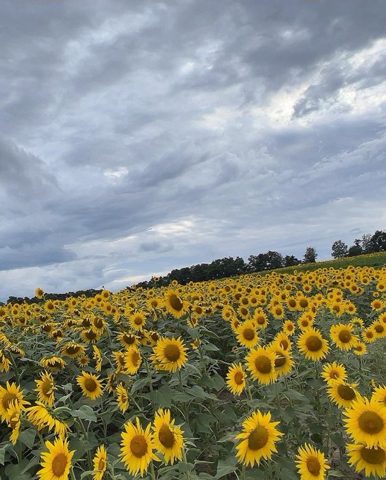 髙坂莉那のTwitter画像13