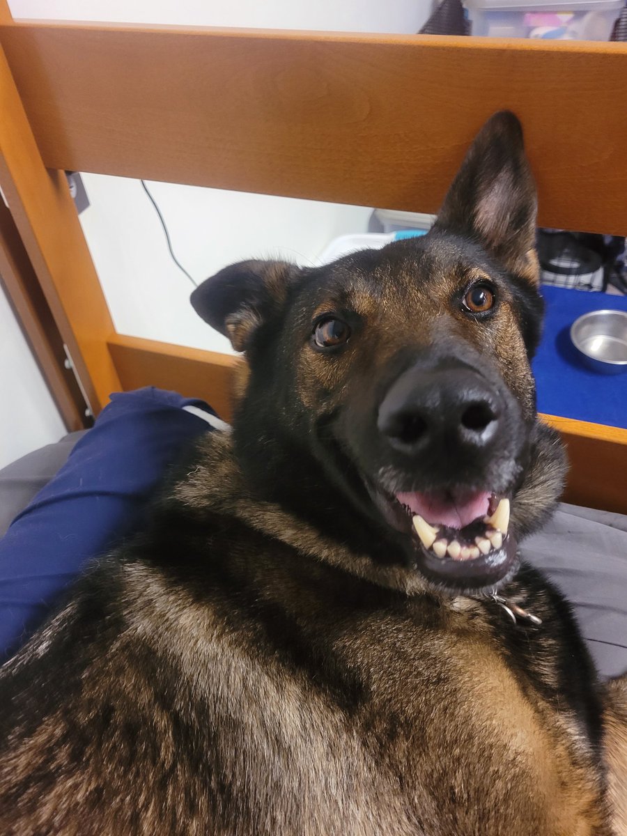 We're back at school and already being silly