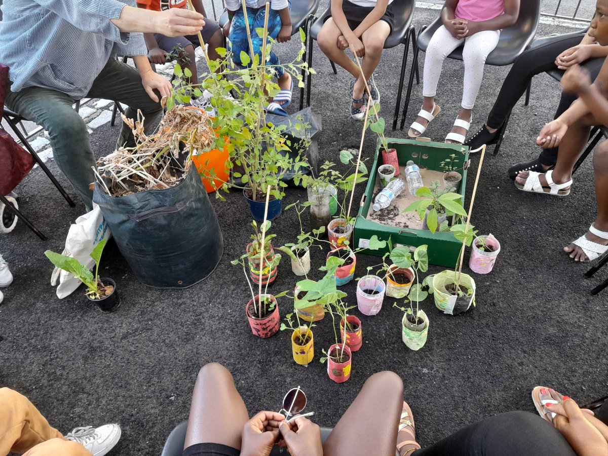 angels_club19's tweet photo. Harvest! Harvest! Thank you @SupplementaryEd ππ½ππ½
#angelsbreakafterschoolclub #soff2022 #HAFF2022 #funactivities #harvesttime #Harvesting #potatoes #onions #chard #growingbeans https://t.co/TS7etgBR7r
