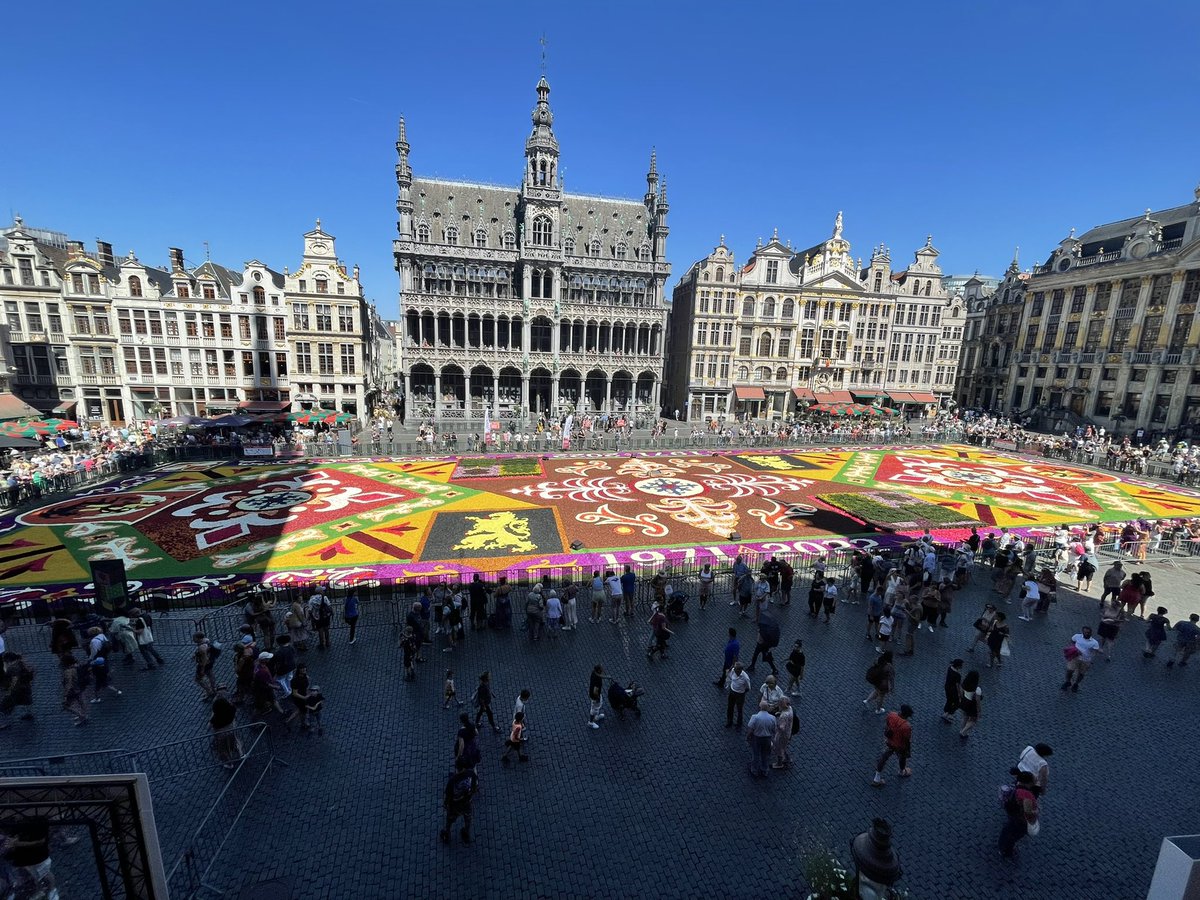 HHSsciteacher's tweet photo. The return of the flower carpet display in Grand Place, Brussels. https://t.co/vpTOoSKkRT