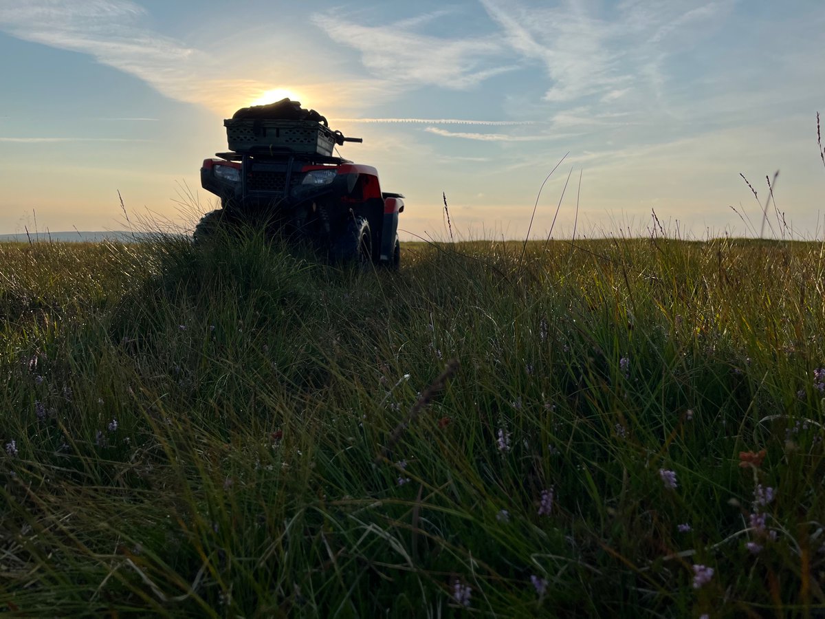 Sorcha Lewis tweet media