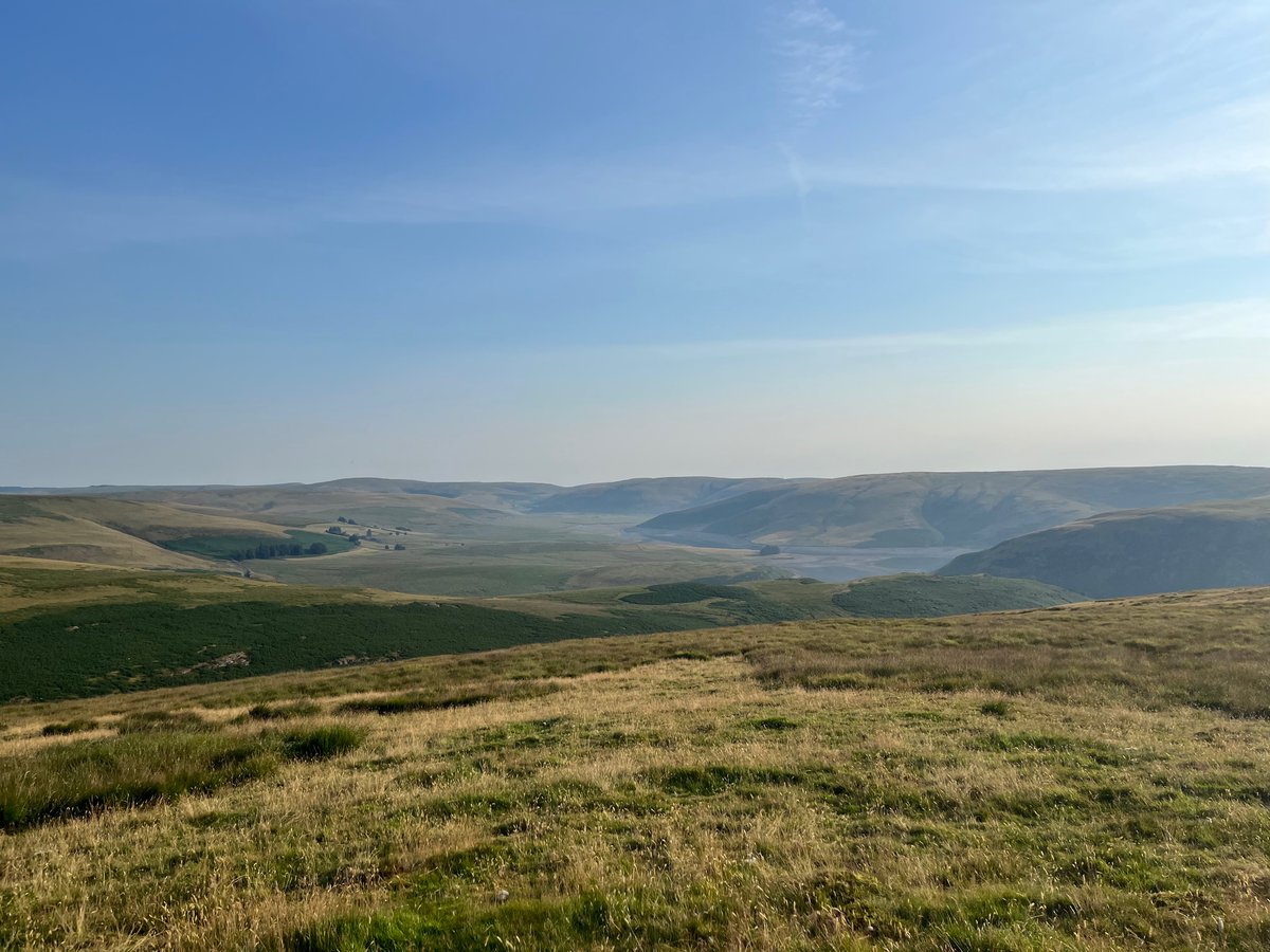 Sorcha Lewis tweet media