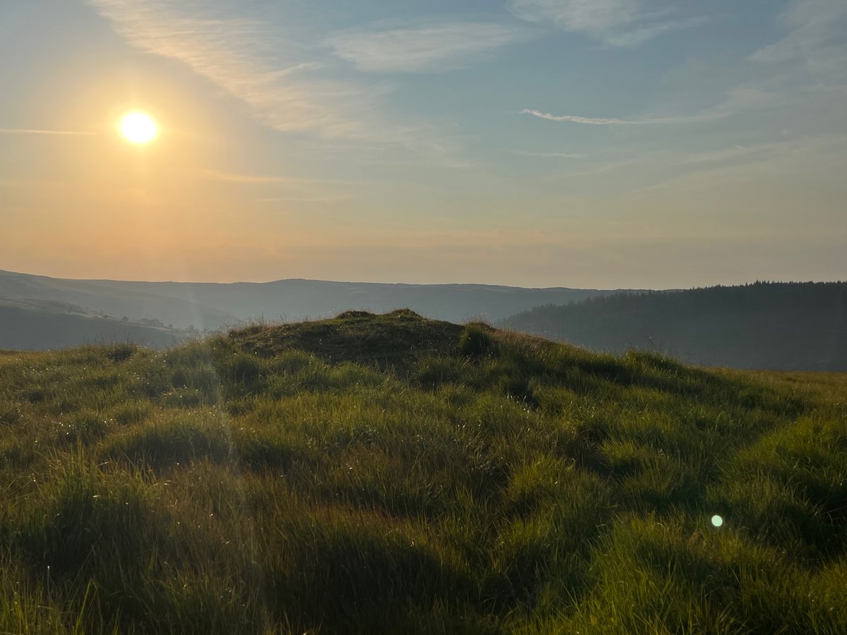 Sorcha Lewis tweet media