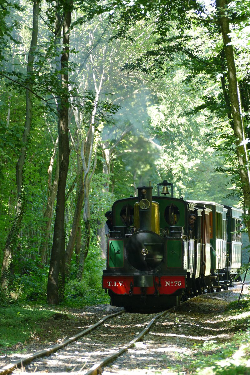 HugoSeiler's tweet photo. TIV n°75, the engineer and me pulling a passenger coach consist through the woods, 07/08/22 https://t.co/OG9D2C4EgU