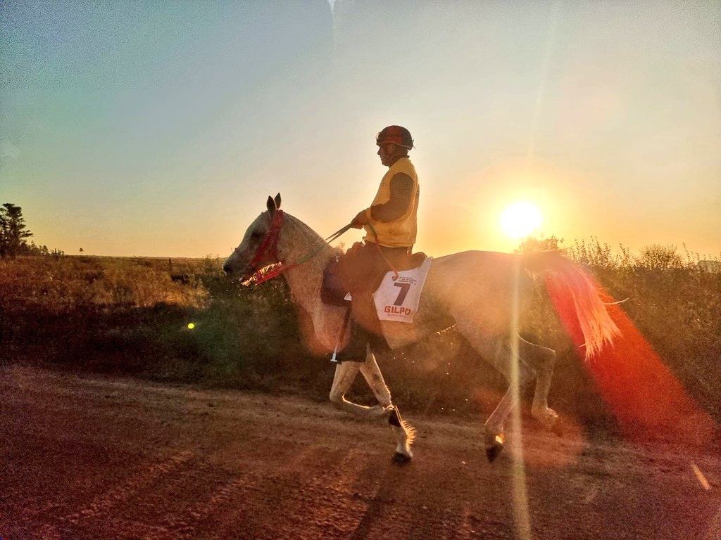 Finalizó la primera etapa en Sarandí del Yí. El primero en arribar al campo de neutralización fue Blanca Nieve con un tiempo de 01:53:03 y promedio de 29,195 kp/h.