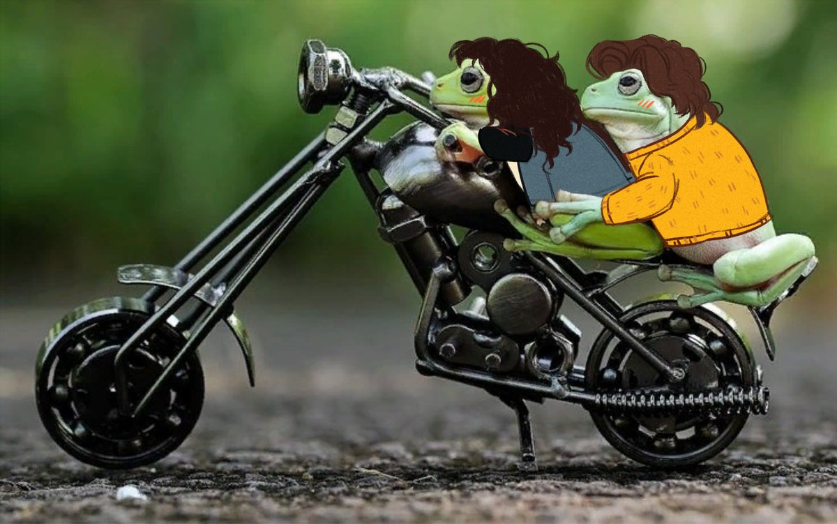 don't ask me anything, I just love frogs and steddie