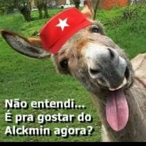 DavidHaddadJr's tweet photo. @geraldoalckmin @LulaOficial https://t.co/X2Ti9nm8ci