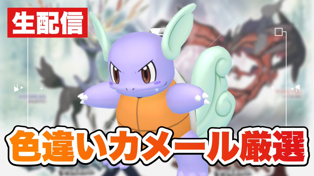 割引限定 かメール Hek293 Com