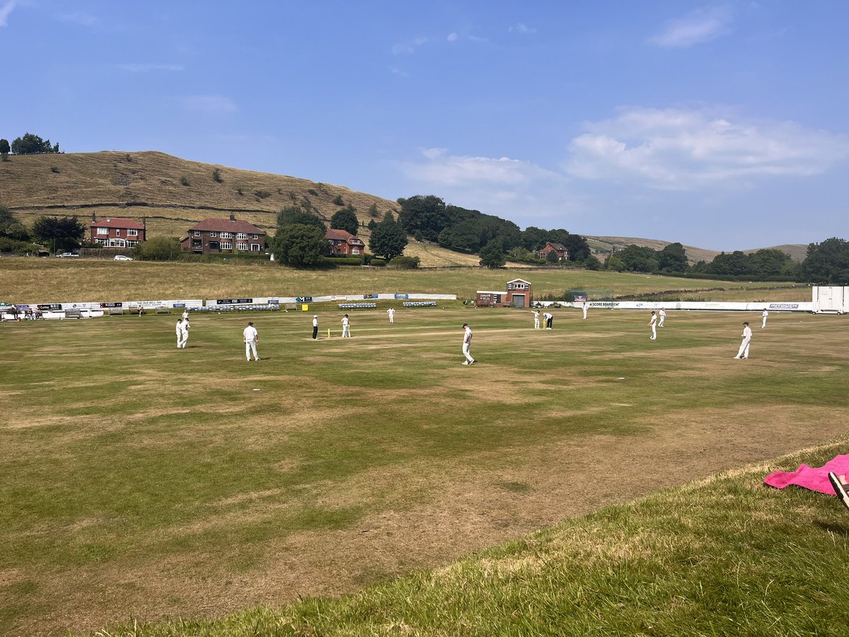 Alana Hargreaves tweet media