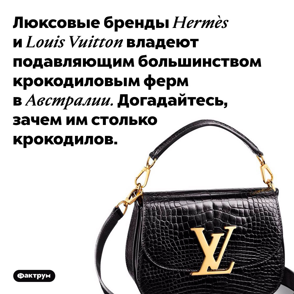 Фактрум (@factroom) on Twitter photo 