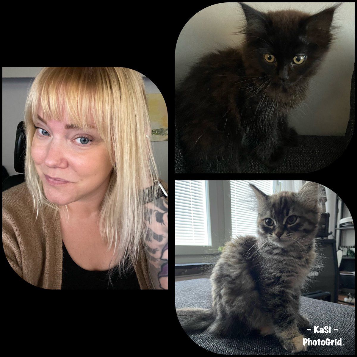 Mon: #Legday 💪 Tue: Rest 🧘‍♀️ Wed: Drove 950km 😬 To finally pick up our 2 new kittens! ❤️ Maja & Morris 😍 Thur: Drove back home 😅 Fri: My body was really not happy with me.. Sat: Bis, shoulders & back 💪 & lots of cat cuddles 😍 Sun: Tris, shoulders & chest 🙌 Then work 👩‍💻