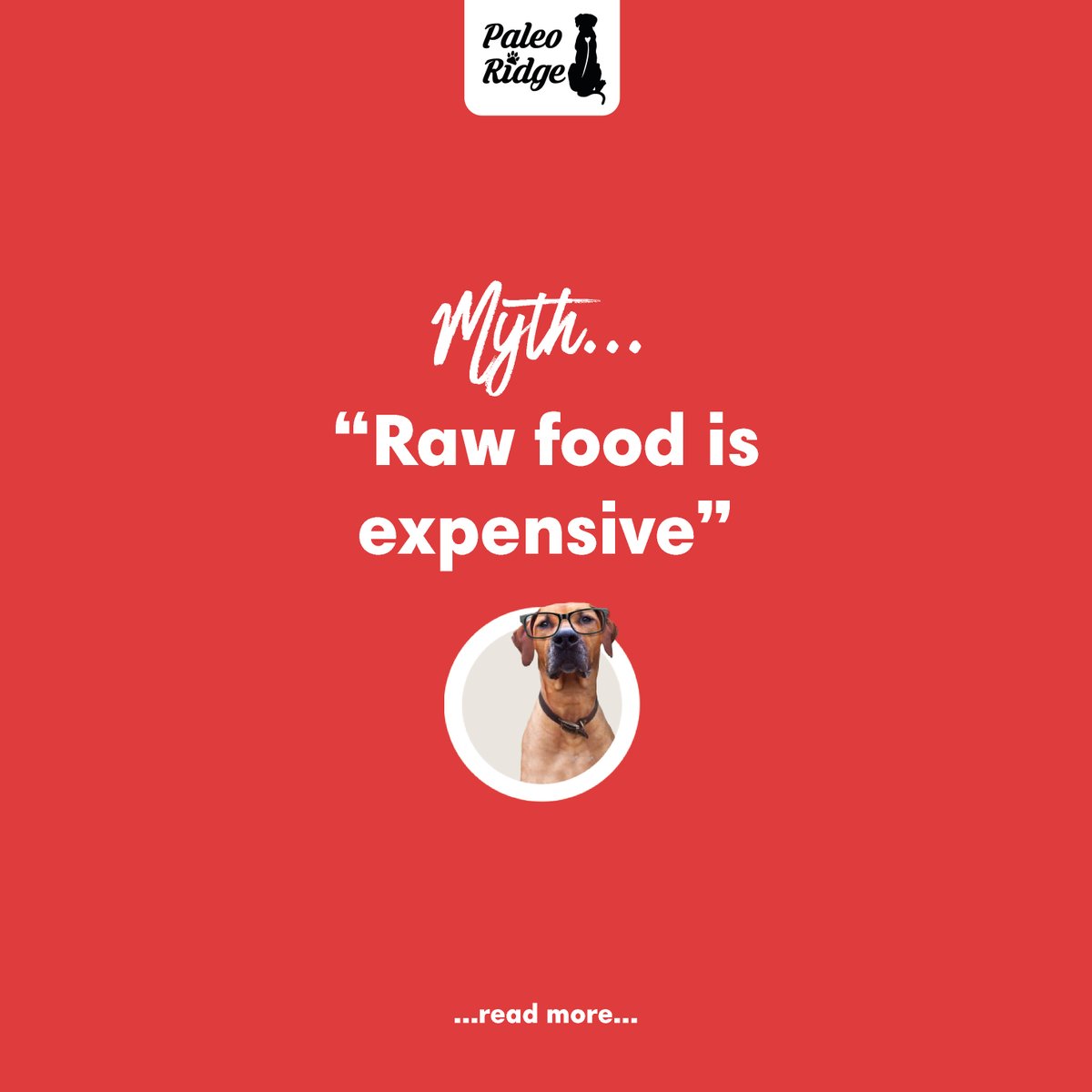 PaleoRidge's tweet image. Raw dog food CAN be expensive yes but can you feed it on a budget? YES. Compared to some ‘high quality’ processed foods, high quality raw works out cheaper.  🥩Not only this, but a raw, natural diet = less trips to the vets which is a huge cost saving.🤑