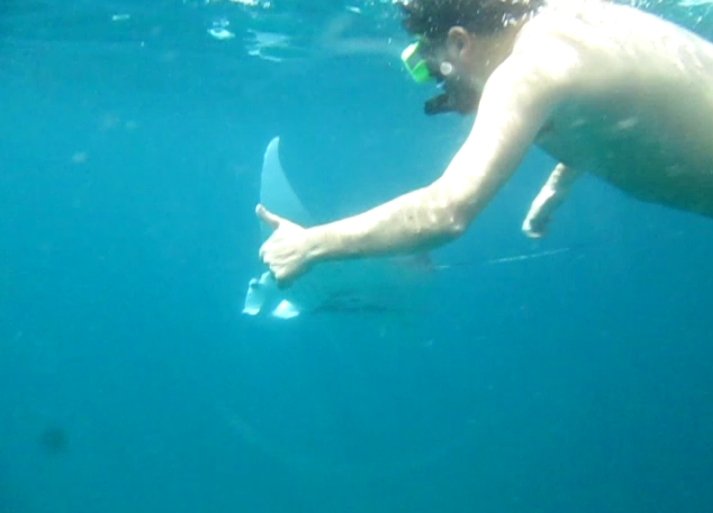 Manta point (nabi Island)