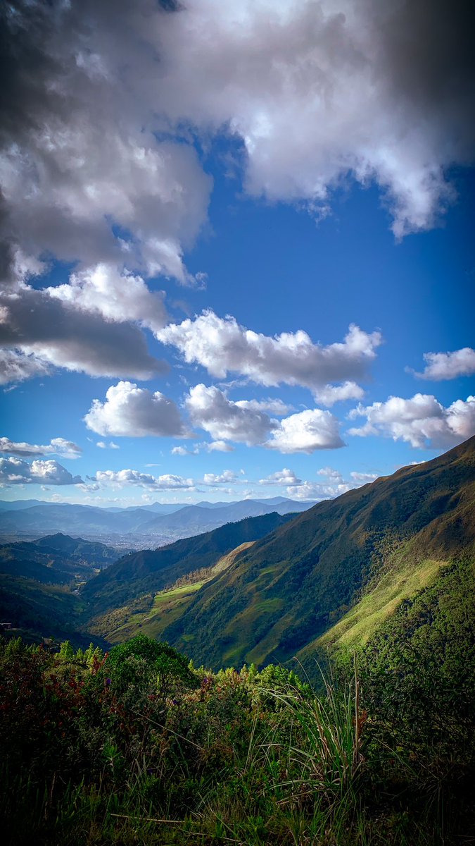 nacalderon1's tweet photo. #Loja donde vivir, es una historia maravillosa. Amo estar por aquí. 

#metodocolambis #EstoEsBacan #Podocarpus #AmordeOtroMundo https://t.co/p3ti2n8k3g