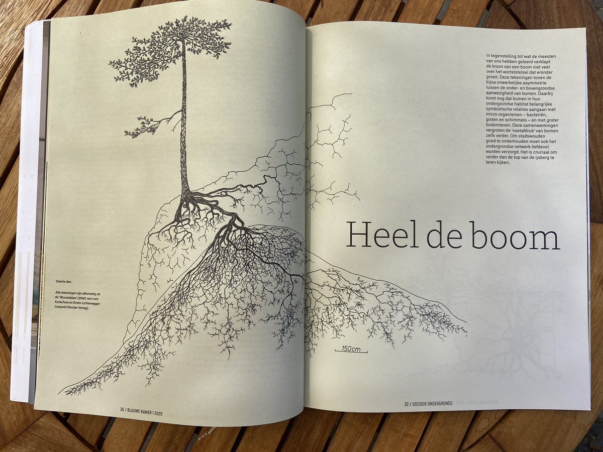 Eduard AJ Groen tweet media