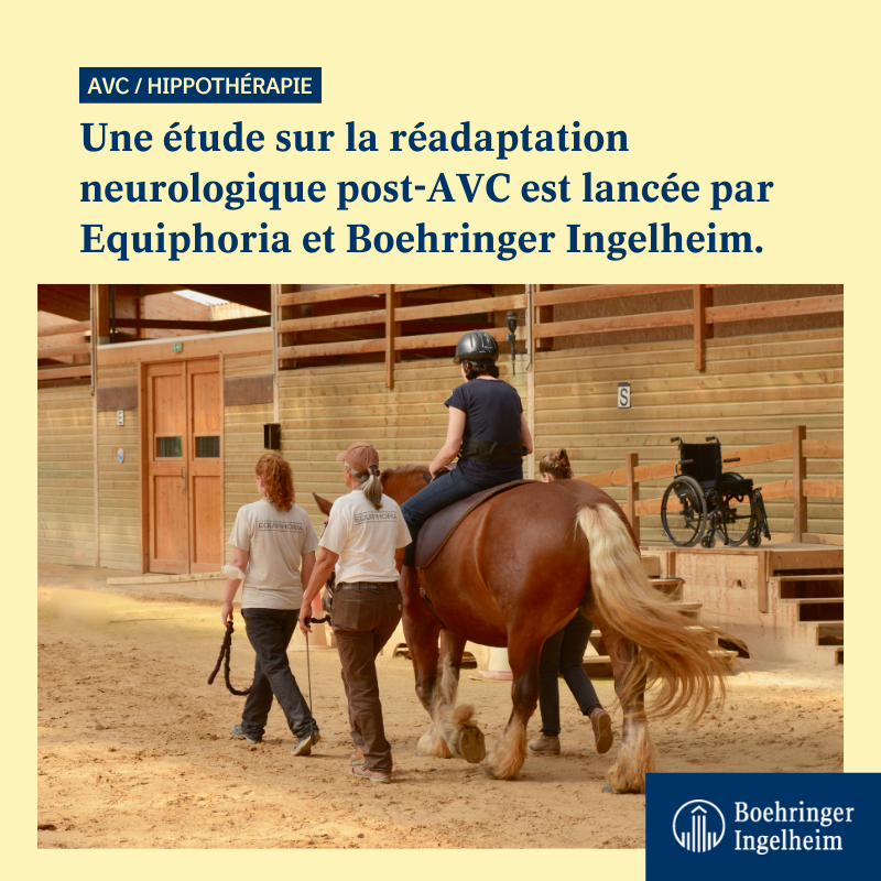 BoehringerFR's tweet photo. Nous soutenons l’étude lancée par @Equiphoria qui vise à démontrer les bénéfices de la réadaptation neurologique par #hippothérapie sur les séquelles causées par un #AVC.

Pour en savoir plus👇