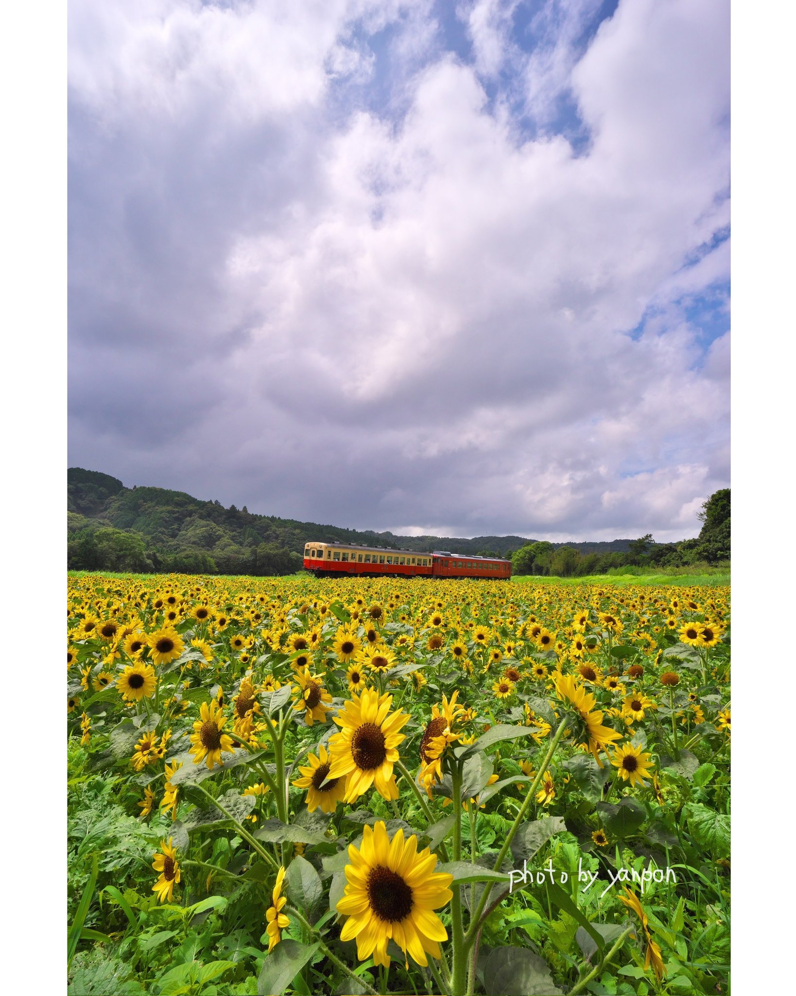 房総の絶景 Boso Zekkei Twitter