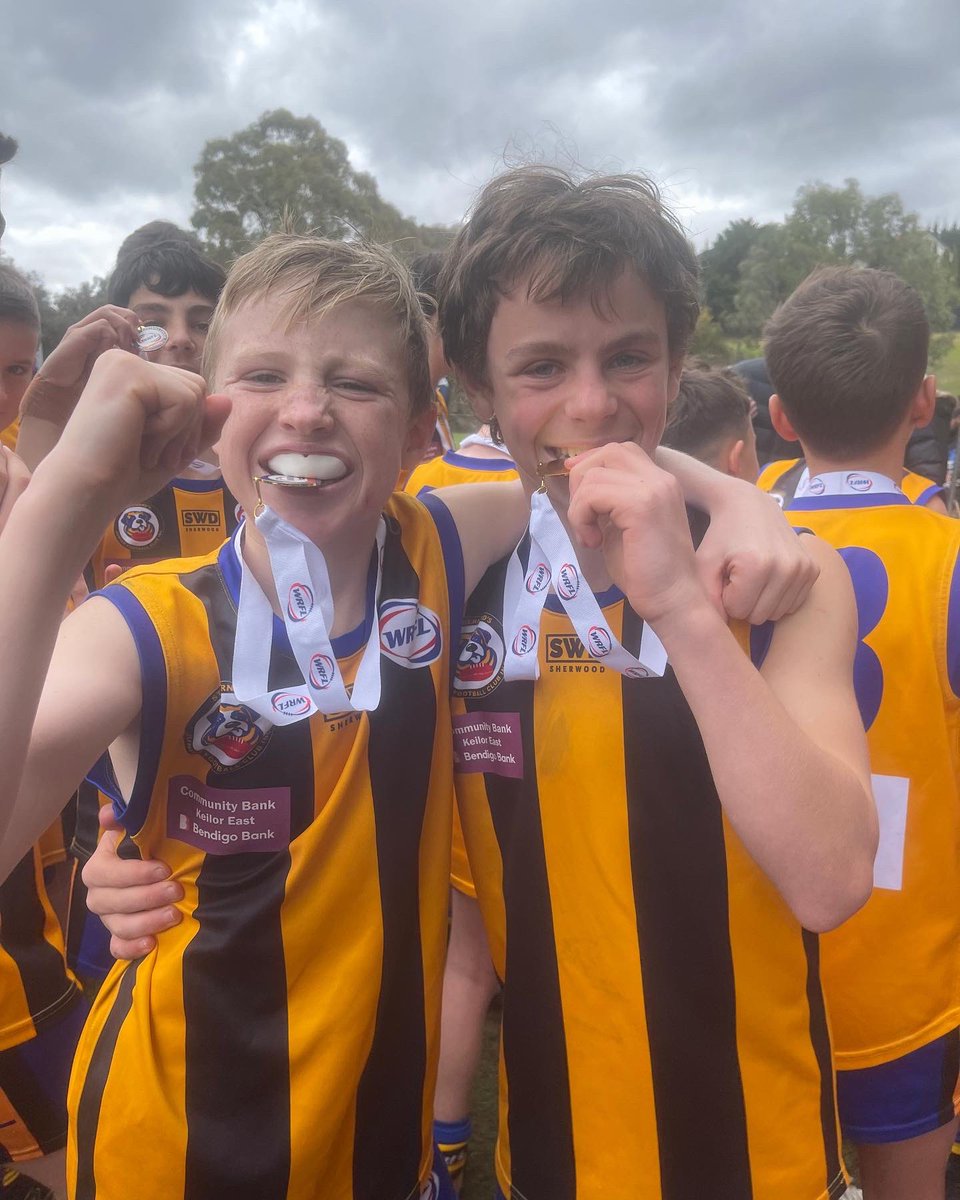 sbofc_juniors's tweet photo. Today our Under 14’s team coached by Mick Foley were the Grand Final winners against a very competitive Manor Lakes Team.
The final scores were St. Bernard’s 8.4.52 to Manor Lakes 5.6.36.
Well done boys! #wearestbernards #foreverstrong #upthepit https://t.co/pQh0AlmPer
