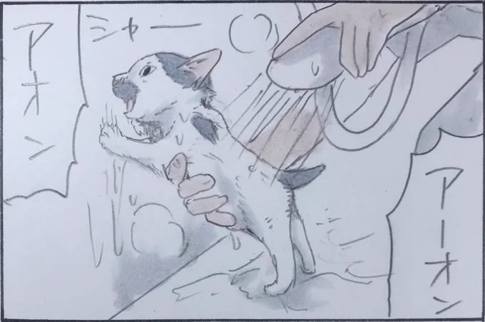 『ニャイーヴ』 